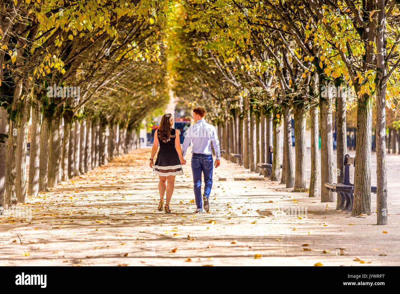 Couple marche main dans la main entre les rangées d'arbres dans le Jardin du Palais Royal à Paris Banque D'Images