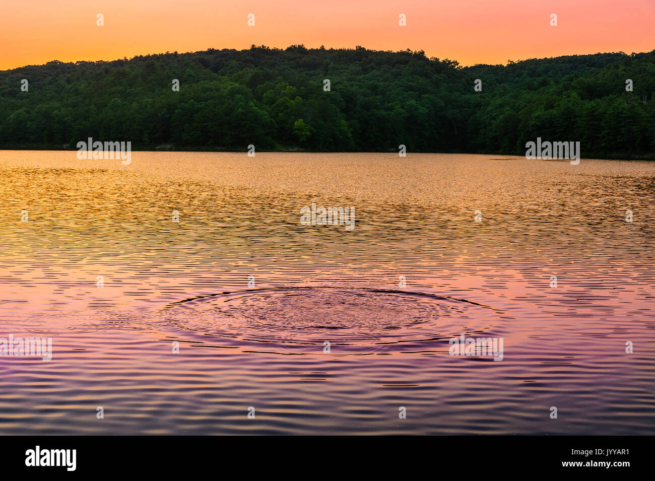 Circulaire colorée ondulations sur lac au coucher du soleil Banque D'Images