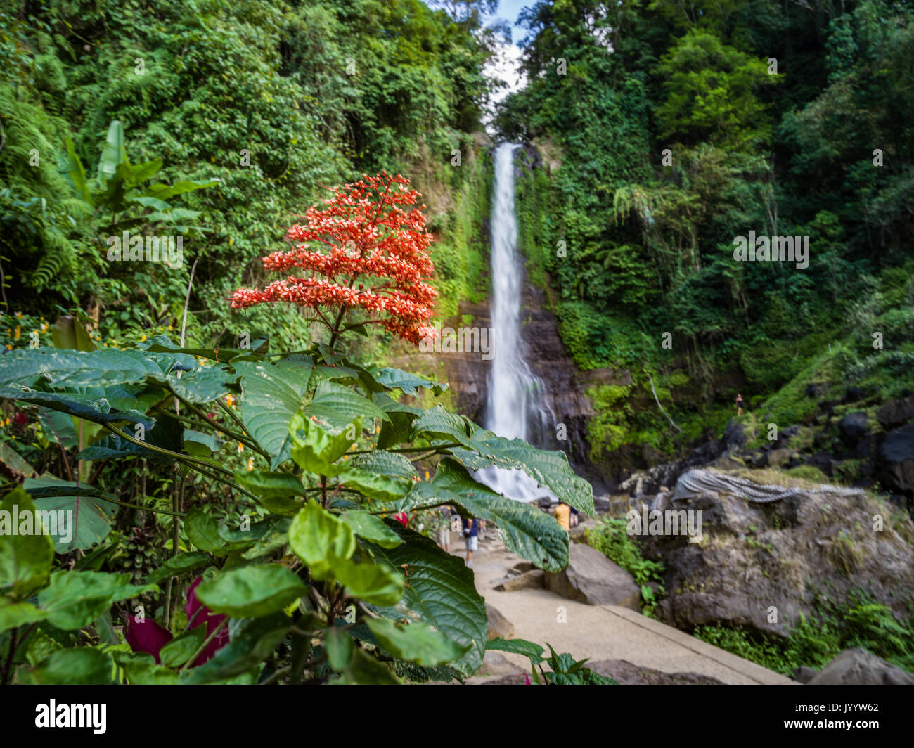 Cascade à BALI Banque D'Images