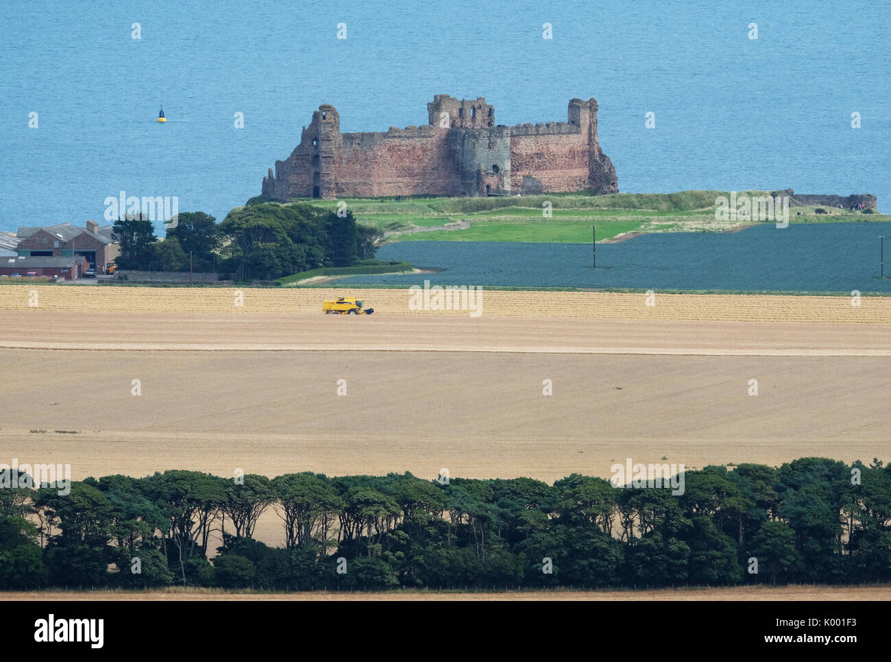 Une moissonneuse-batteuse travaillant dans un champ de blé près de Château de Tantallon East Lothian. Banque D'Images