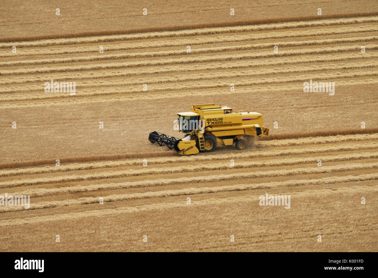 Une moissonneuse-batteuse travaillant dans un champ de blé près de North Berwick East Lothian. Banque D'Images
