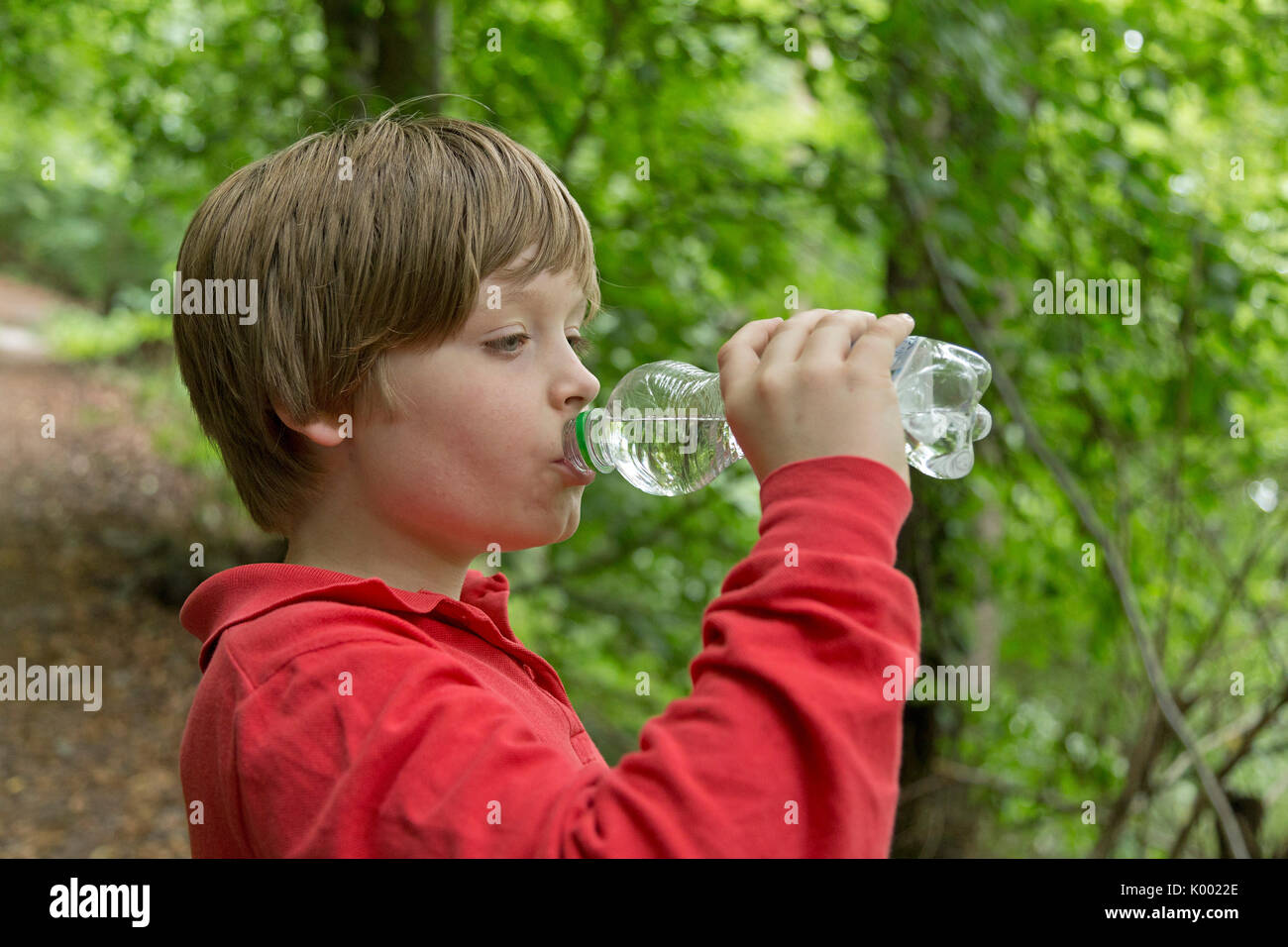 Jeune garçon de l'eau potable dans une forêt Banque D'Images