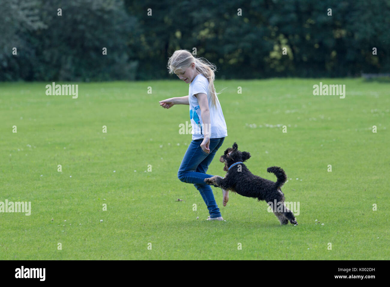 Jeune fille courir avec chien Banque D'Images