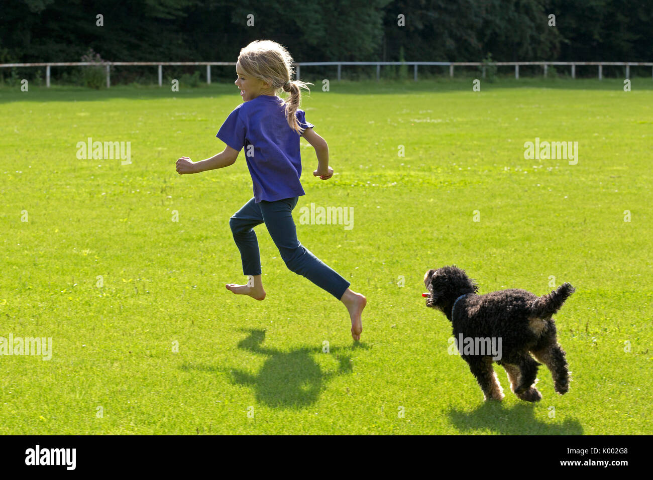 Petite fille courir avec chien Banque D'Images