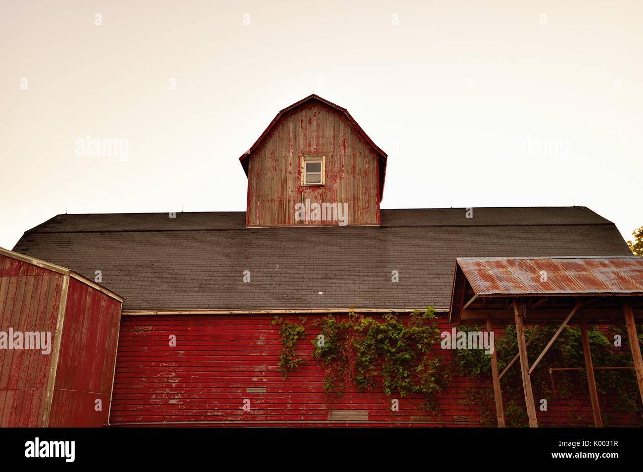 Une vieille grange, hangar, et couvert sur une ferme dans le nord-est de l'Illinois. Banque D'Images