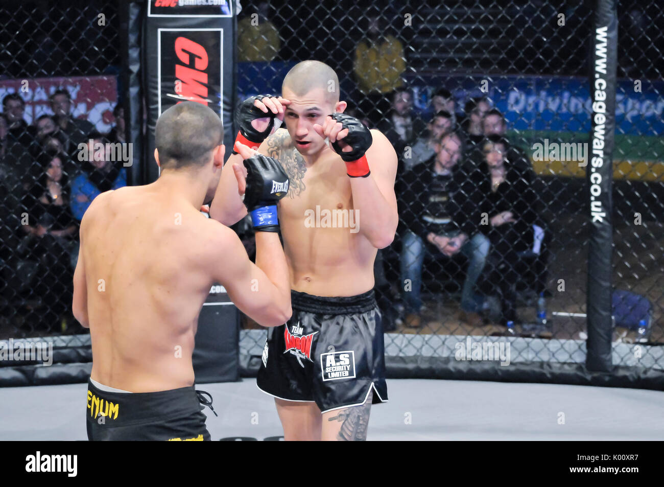 Deux cage MMA fighers dans l'anneau. Banque D'Images