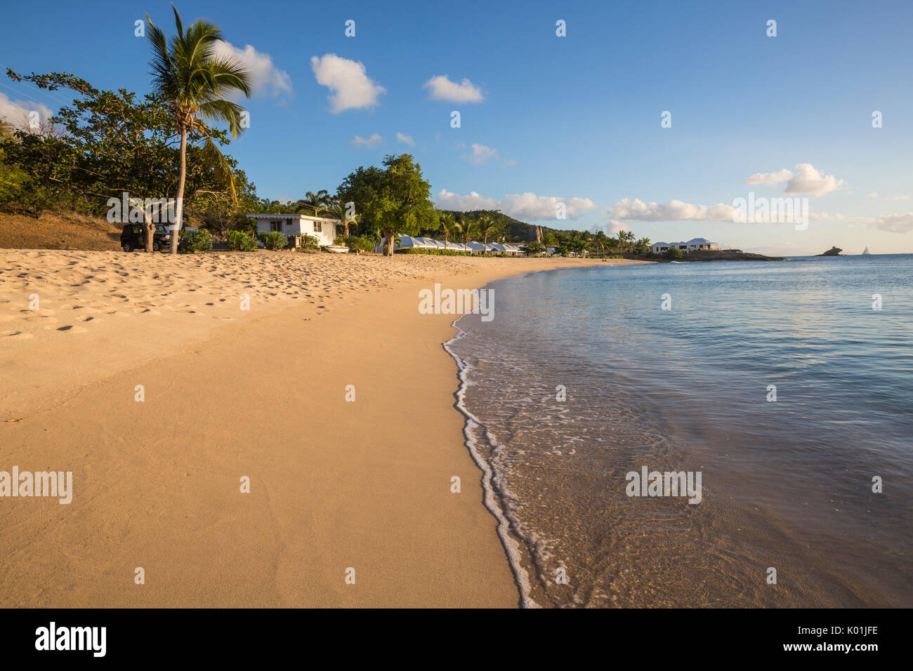 Ciel bleu et de palmiers la plage du châssis et la mer des Caraïbes d'Eretmochelys imbricata Bay Antigua-et-Barbuda Antilles Îles sous le vent Banque D'Images