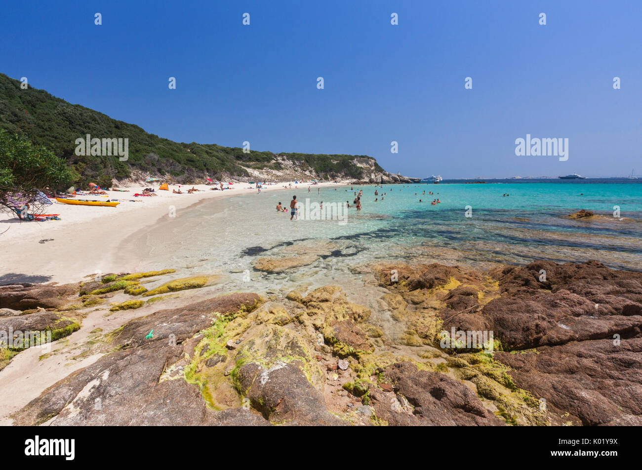 Baigneurs dans la mer claire entourée par le promontoire enrichi par de la végétation verte Sperone Bonifacio Corse du Sud France Europe Banque D'Images