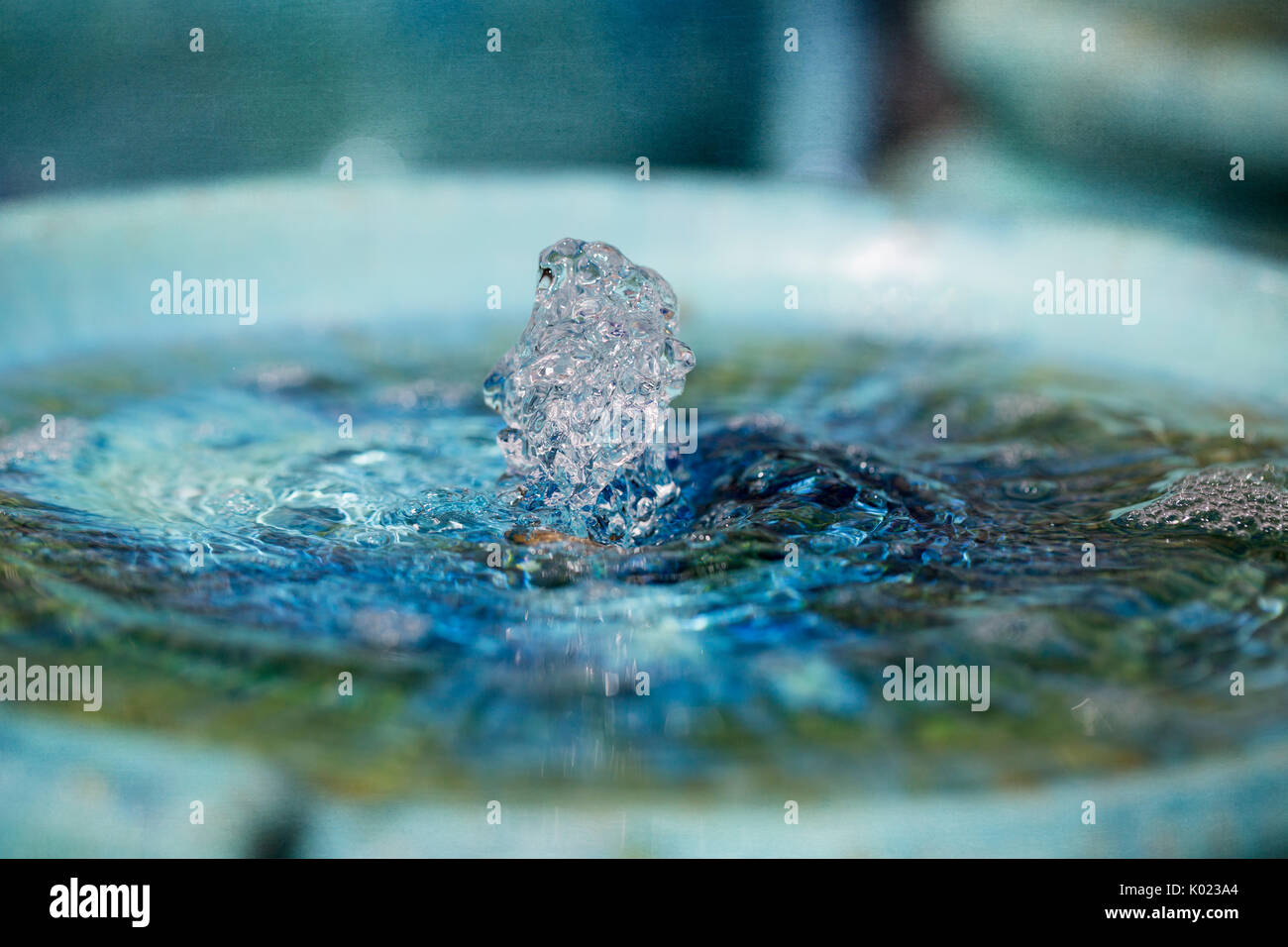 Fontaine à eau dans un jardin de fleurs d'été Banque D'Images