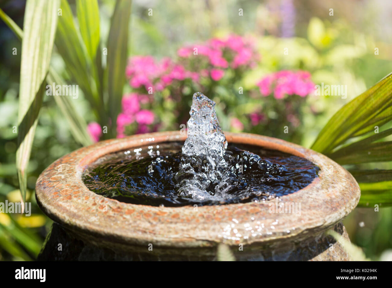 Fontaine à eau dans un jardin de fleurs d'été Banque D'Images