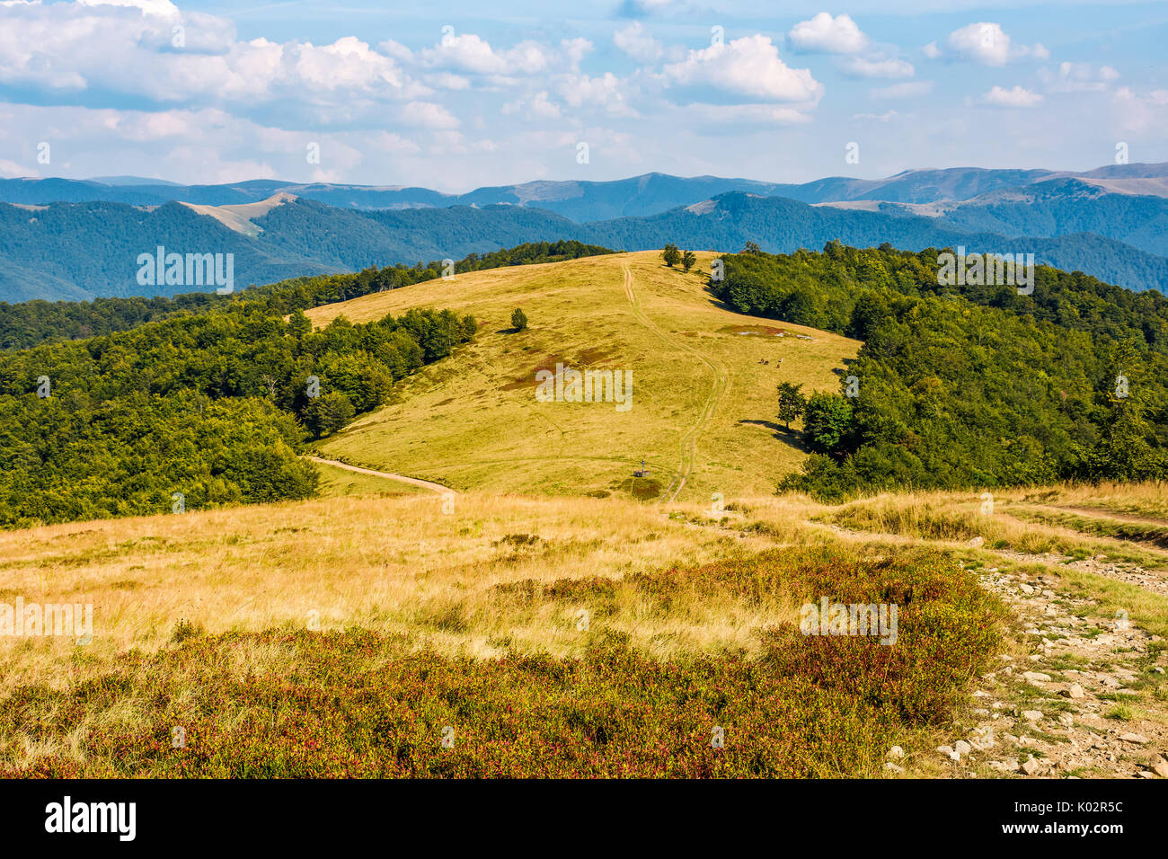 En chemin herbeux altérés pré alpin près de la forêt de hêtres en haut d'une colline. superbe crête de montagne paysage sur le début de l'automne journée ensoleillée sous e Banque D'Images