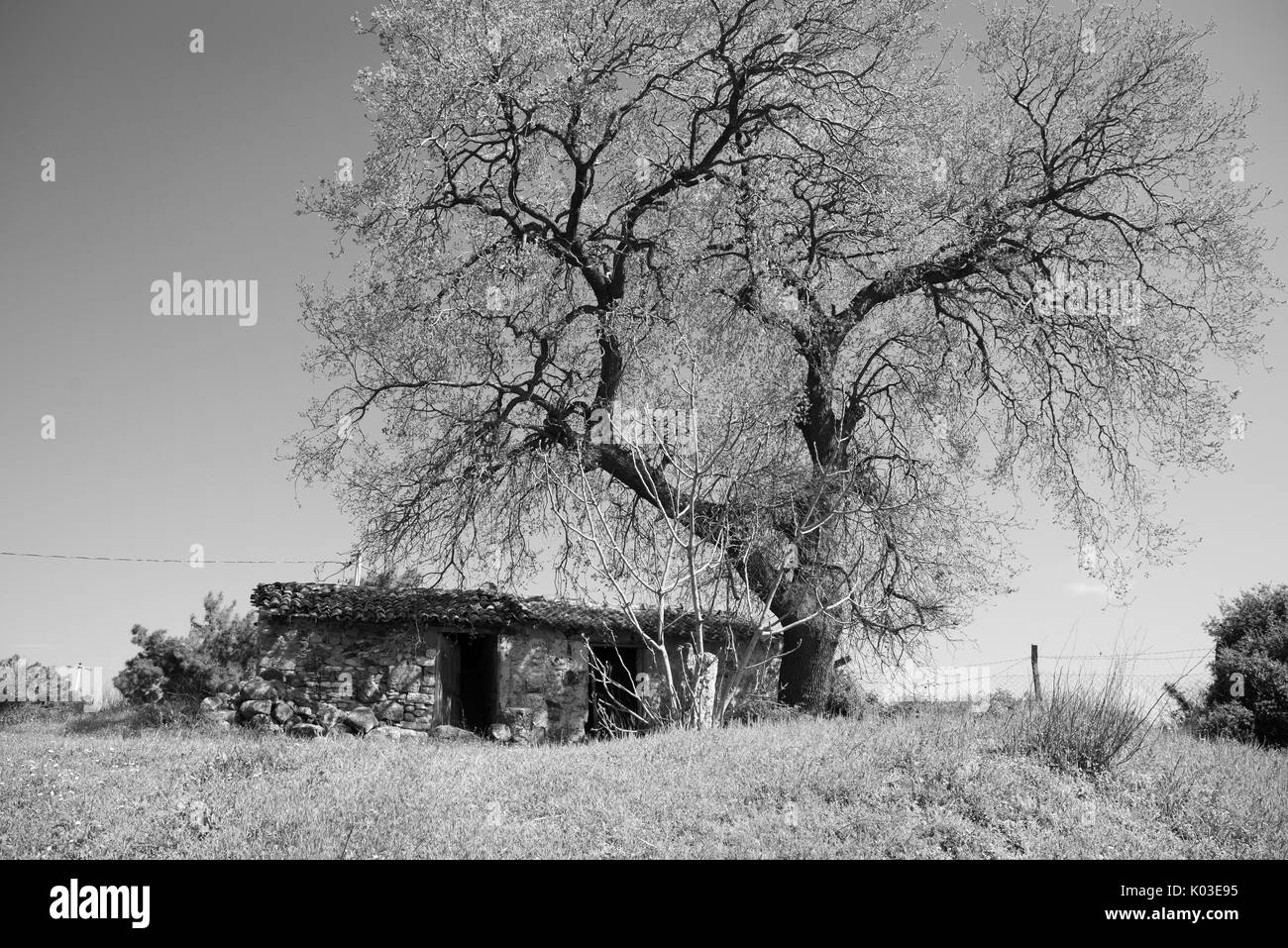 Photo en noir et blanc de la vieille maison en pierre rural Banque D'Images