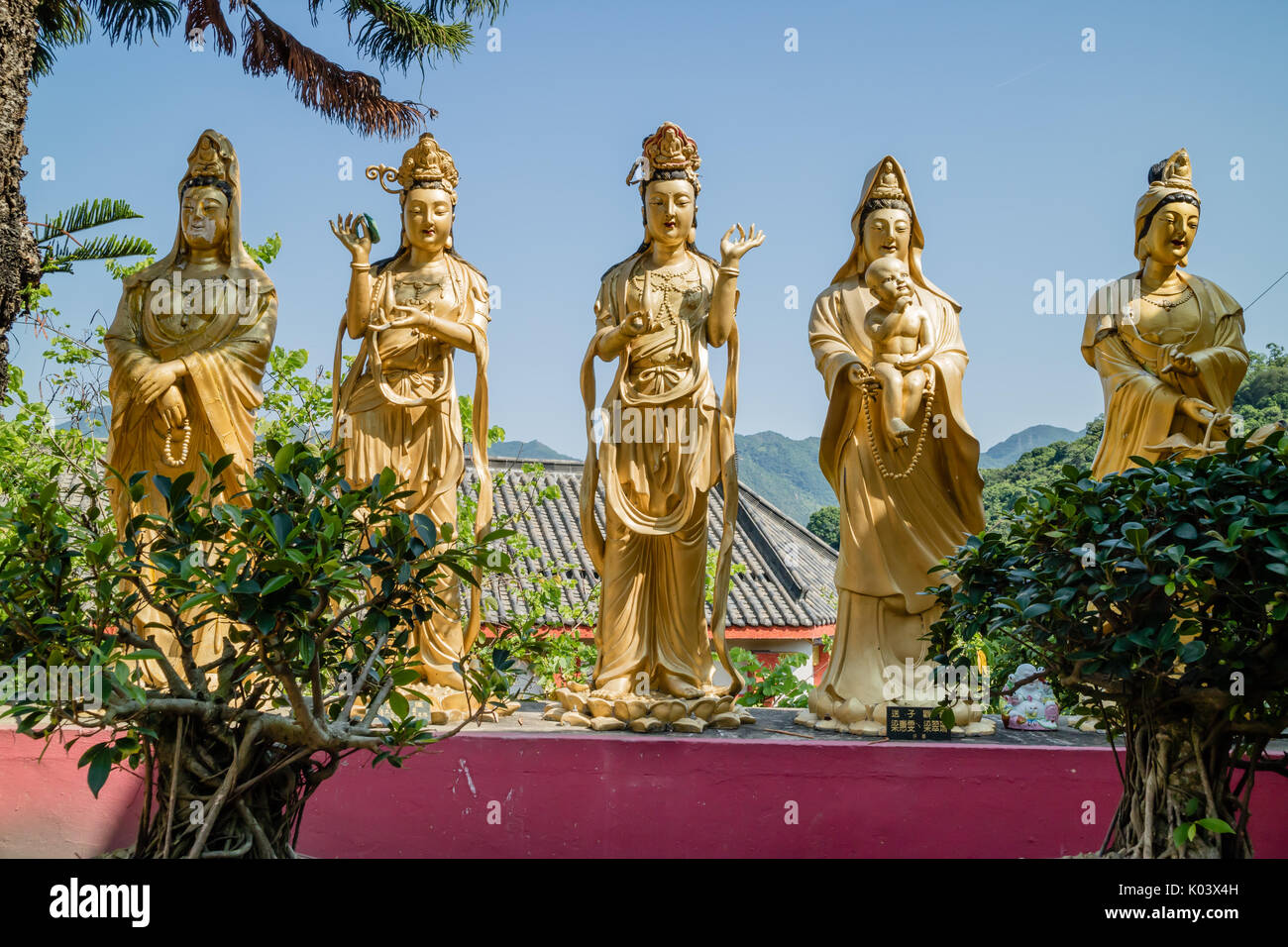 10 000 monastère temple du Bouddha à Shatin, Hong Kong Banque D'Images