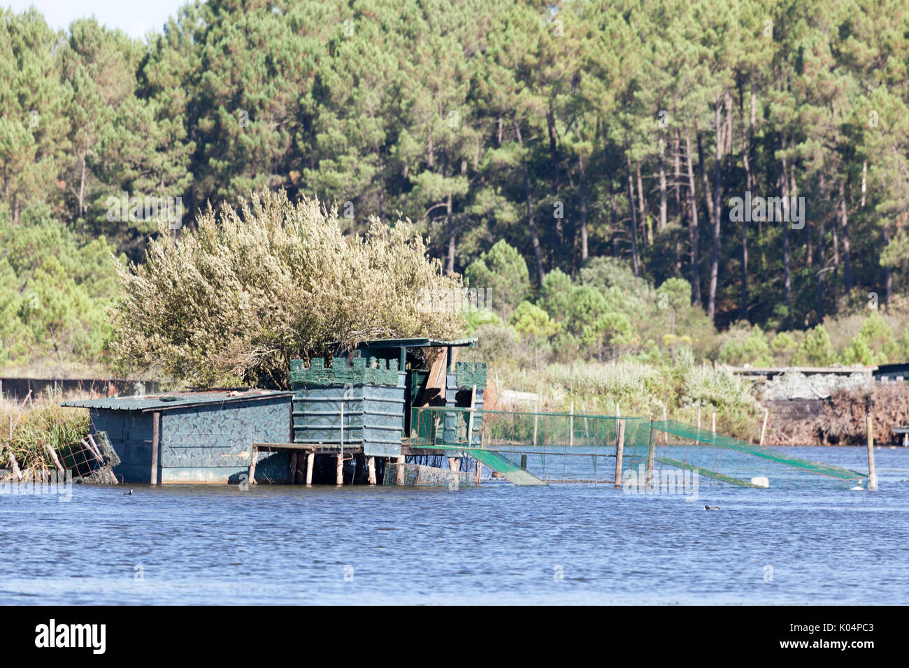 En été, une hutte de chasse aux canards sur l'étang de Hardy, à Seignosse (Landes - France). Il y a environ une douzaine de ces huttes dans ce même lieu. Banque D'Images