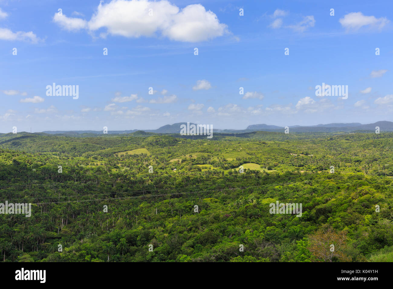 La vue sur la vallée de Yumurí avec champs de palmiers et de tabac, cultures et de verdure, la Province de Mayabeque, Cuba Banque D'Images La vue sur la vallée de Yumurí avec champs de palmiers et de tabac, cultures et de verdure, la Province de Mayabeque, Cuba Banque D'Images