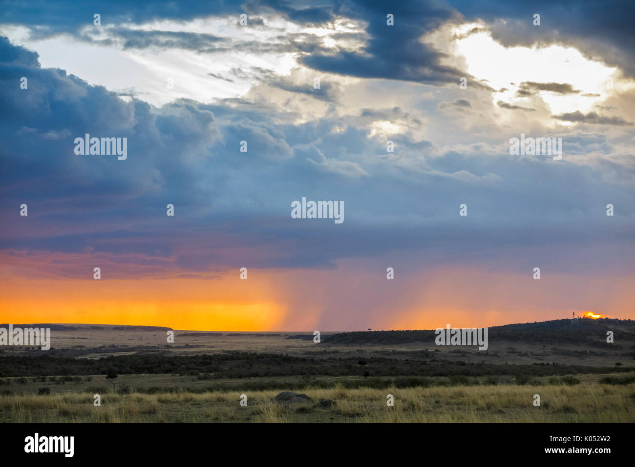 Vue paysage panoramique : gris nuages de tempête de recueillir plus de la savane avec pluie imminente au coucher du soleil, Masai Mara, Kenya Banque D'Images