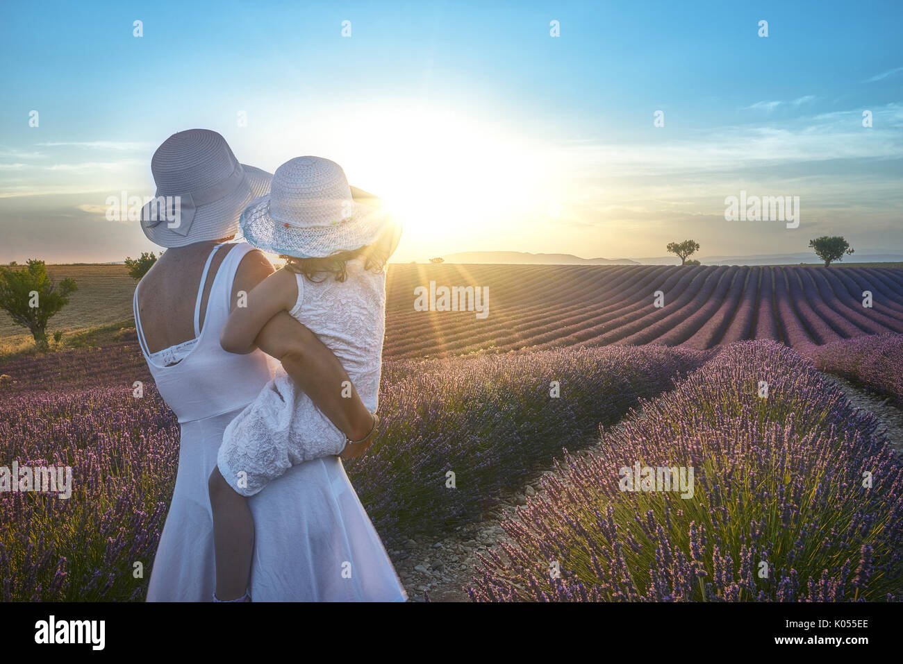 Valensole, Provence, France. La mère et l'gaudhter dans les champs de lavande au coucher du soleil Banque D'Images