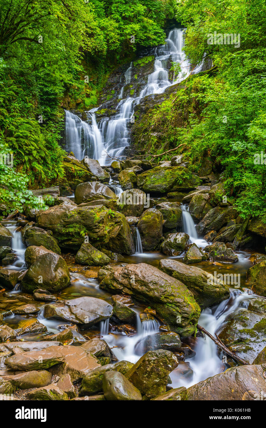 Torc Waterfall est une chute d'eau à la base de Torc Mountain, à environ 8,0 km de Killarney, dans le comté de Kerry, Irlande Banque D'Images