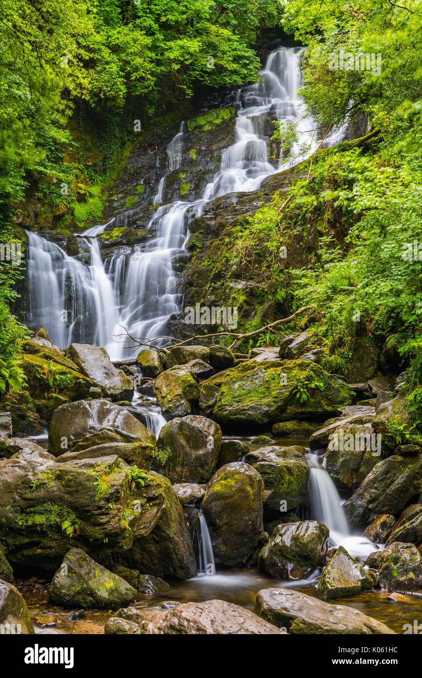 Torc Waterfall est une chute d'eau à la base de Torc Mountain, à environ 8,0 km de Killarney, dans le comté de Kerry, Irlande Banque D'Images
