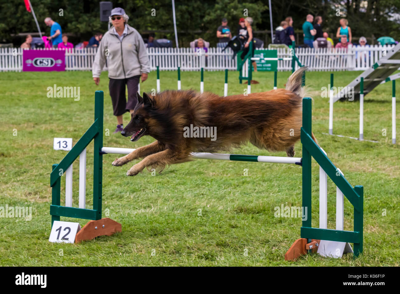 Rockingham, Northamptonshire, U.K. Kennel Club International. L'agilité du Festival. Berger Allemand à poils longs. Banque D'Images