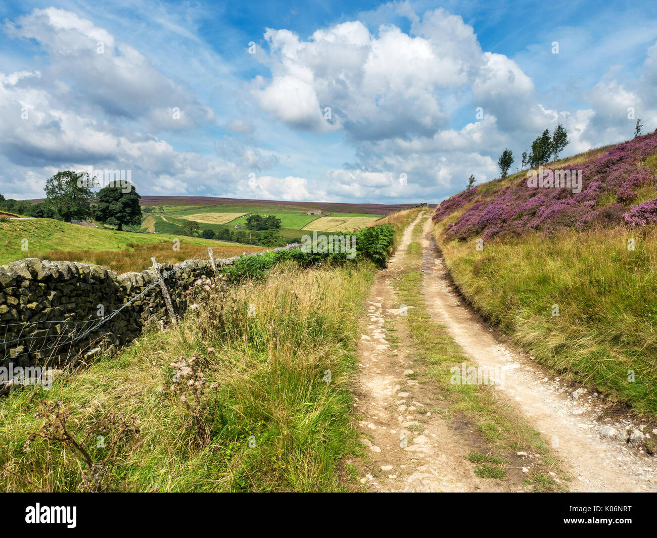 La Nidderdale Way près de Providence Chemin Campsites Canet-en-Roussillon Mine Nidderdale AONB Yorkshire Angleterre Banque D'Images