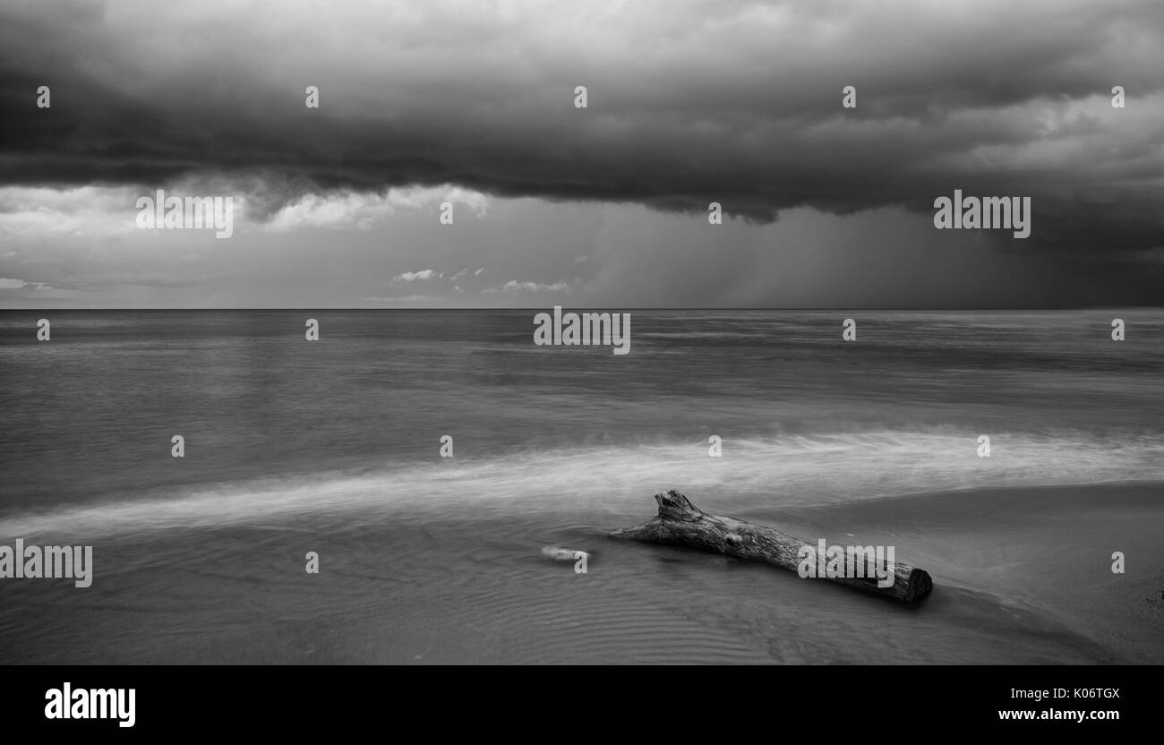 Journal de l'arbre dans la mer de frapper par les vagues et ciel d'orage. Photos à longue exposition Banque D'Images