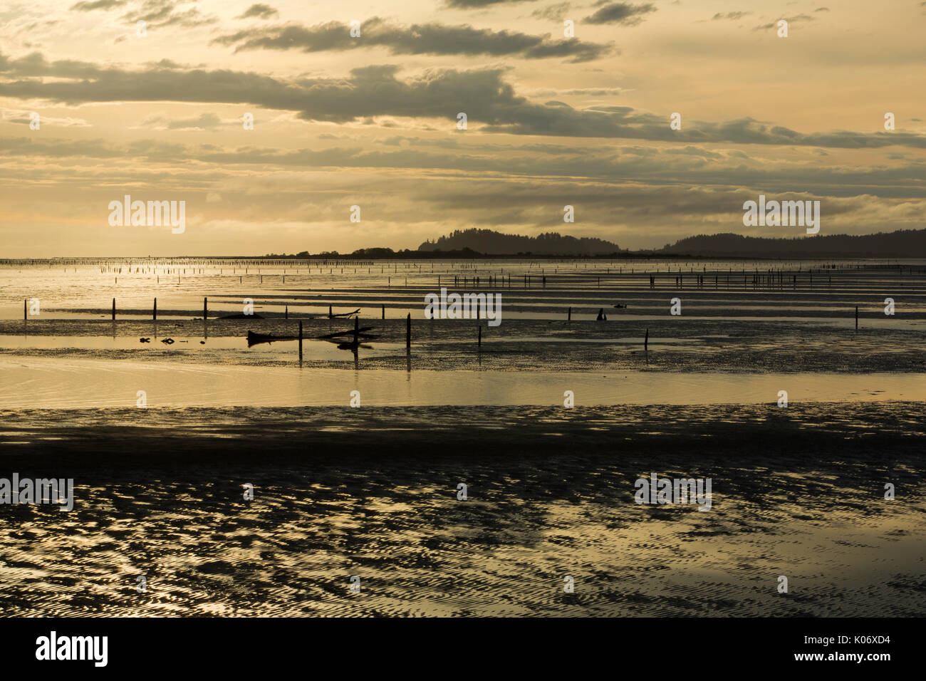 Piers le long de la rivière Columbia slough près de coucher du soleil. Washington, États-Unis Banque D'Images