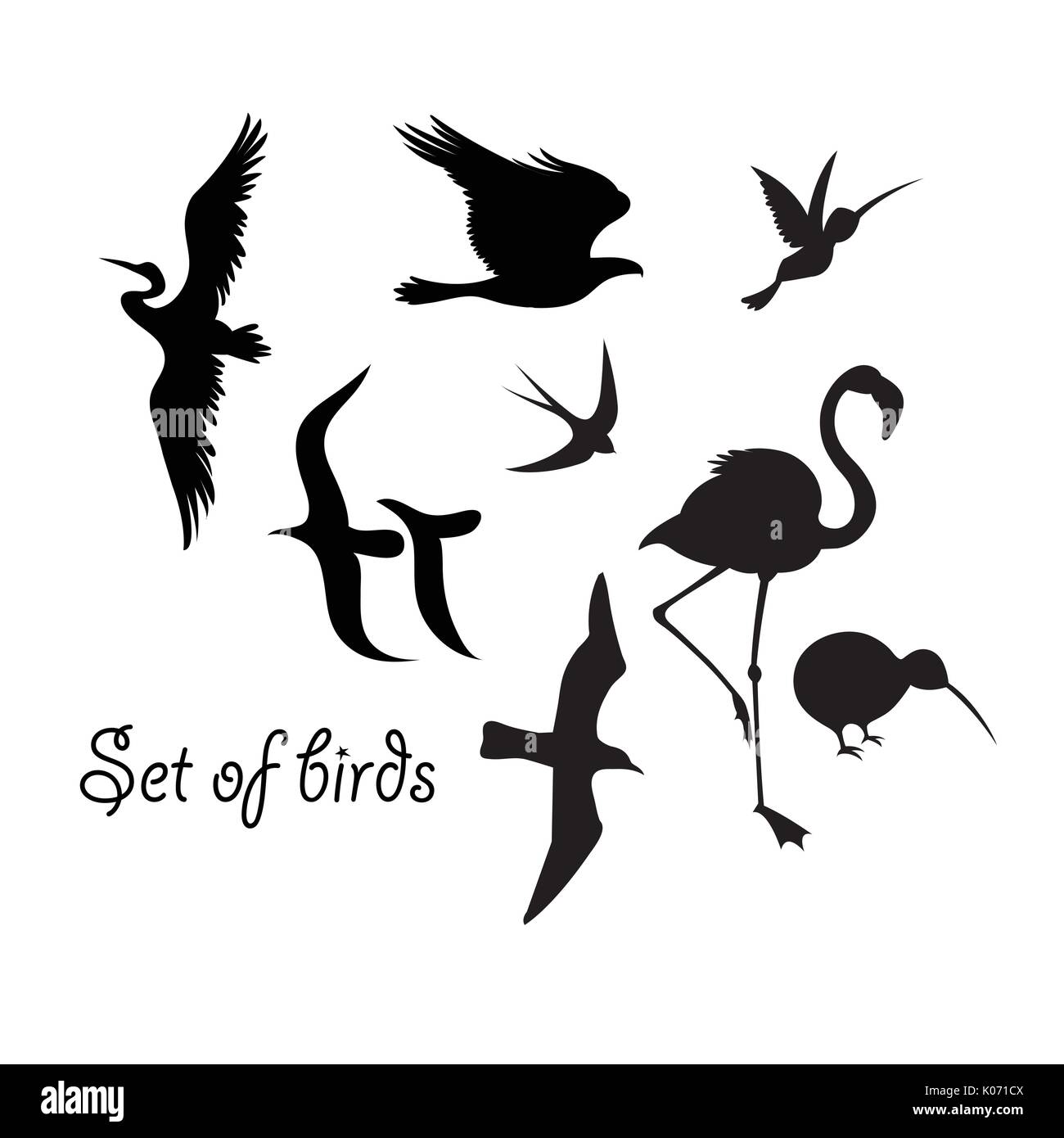 Jeu de silhouettes d'oiseaux symboles sur fond blanc Illustration de Vecteur