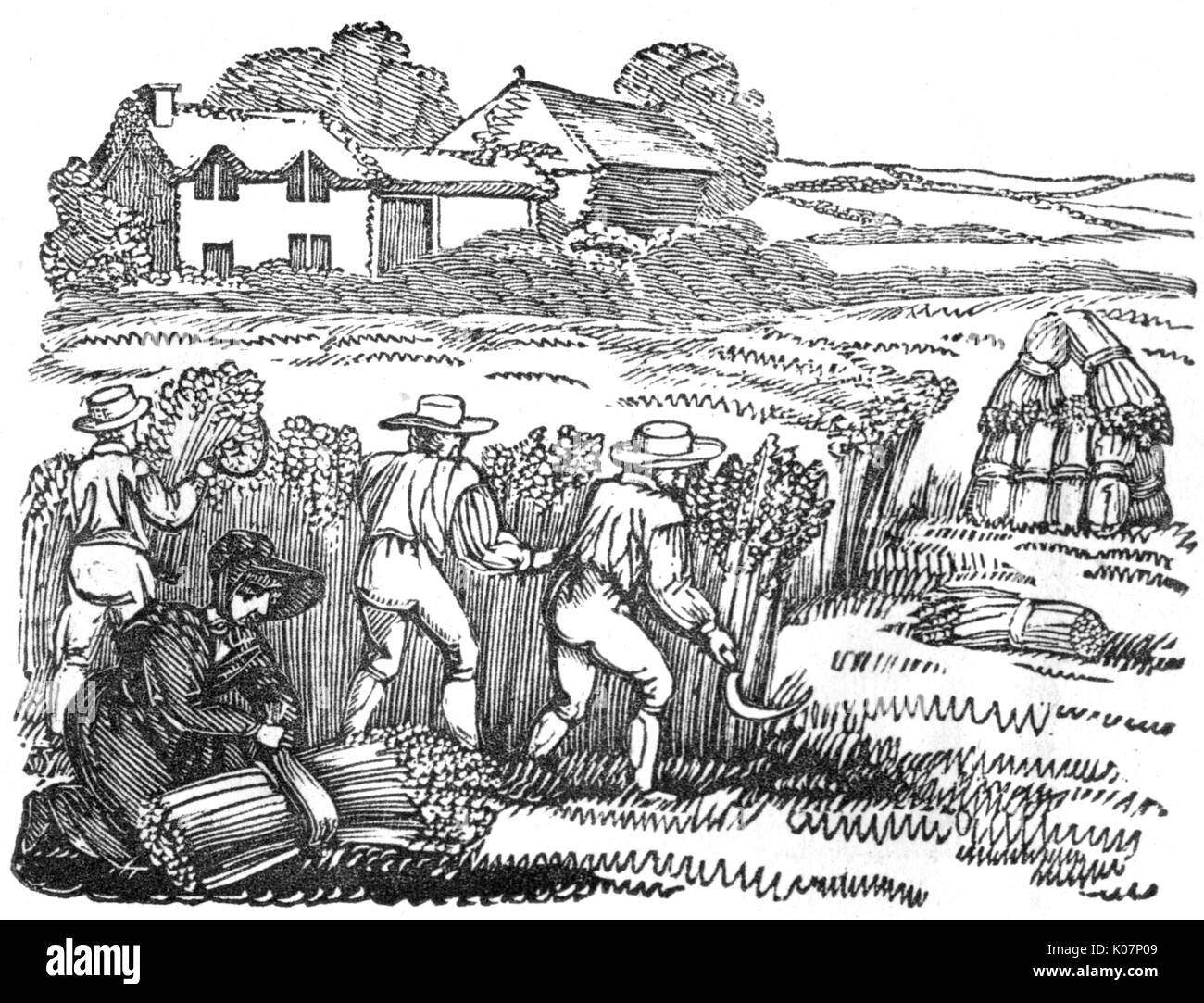 Les hommes et les femmes la récolte du blé dans un champ : une coupe avec des faucilles et lier en bottes, c.1800 Date : C.1800 Banque D'Images