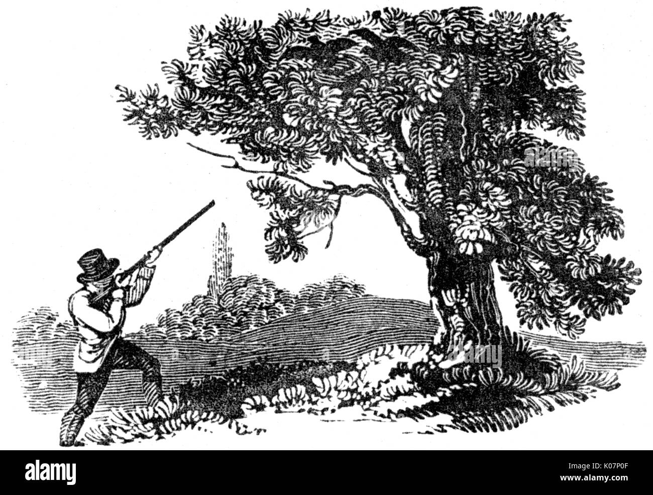 Homme tirant sur deux oiseaux dans un arbre, c.1800 Banque D'Images