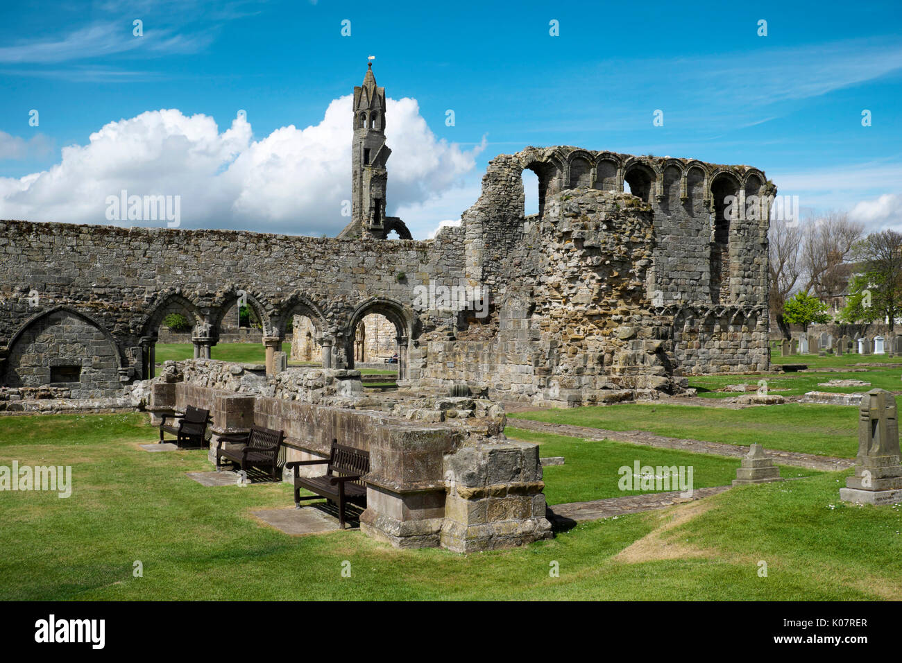 Ruines de la cathédrale de St Andrews, St Andrews, Fife, Scotland, UK Banque D'Images