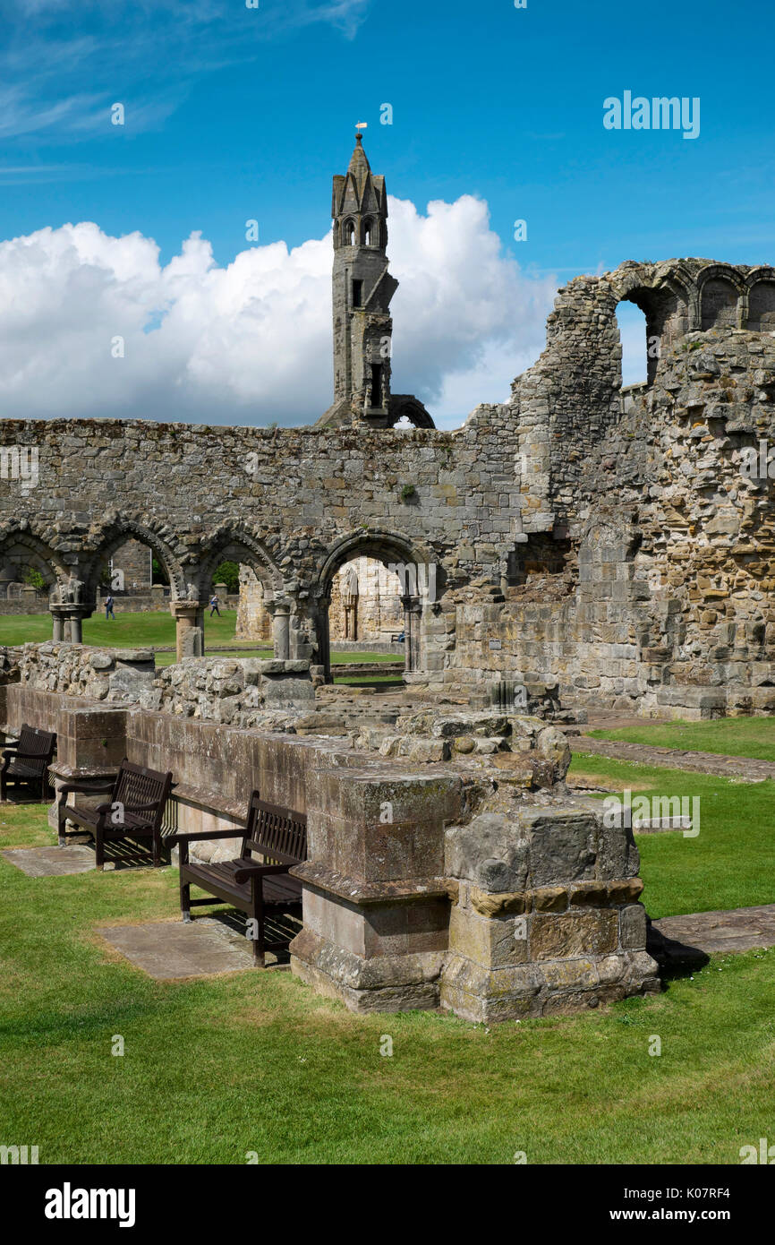 Ruines de la cathédrale de St Andrews, St Andrews, Fife, Scotland, UK Banque D'Images