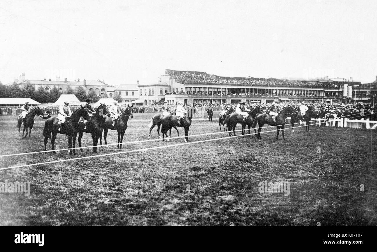 Les chevaux sur la ligne de départ, l'hippodrome de Doncaster, avec une estrade en arrière-plan. Date : vers 1910 Banque D'Images