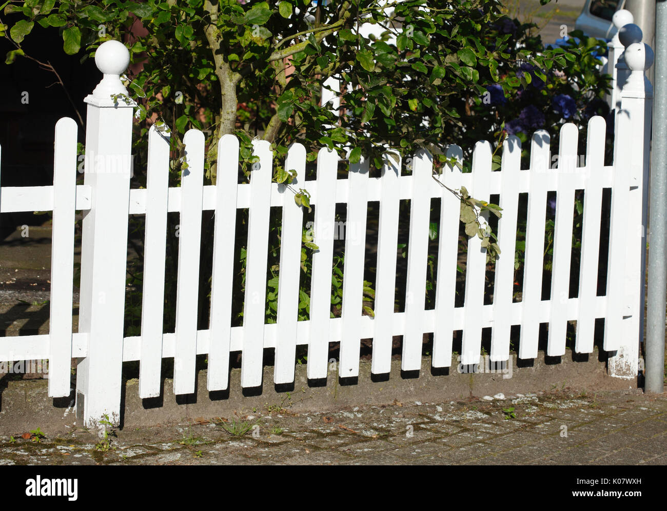 Jardin clôture en bois blanc avec des plantes Banque D'Images