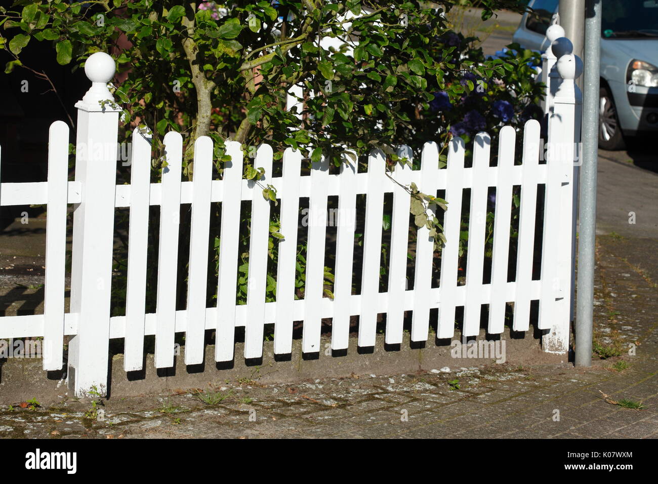 Jardin clôture en bois blanc avec des plantes Banque D'Images