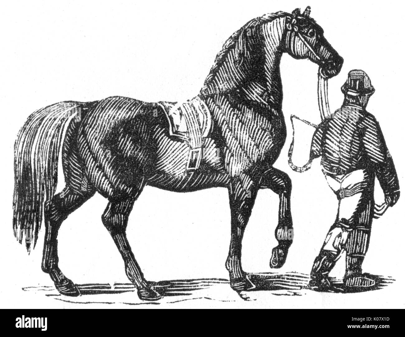 Homme menant une carthorse lourde, c.1810 Banque D'Images