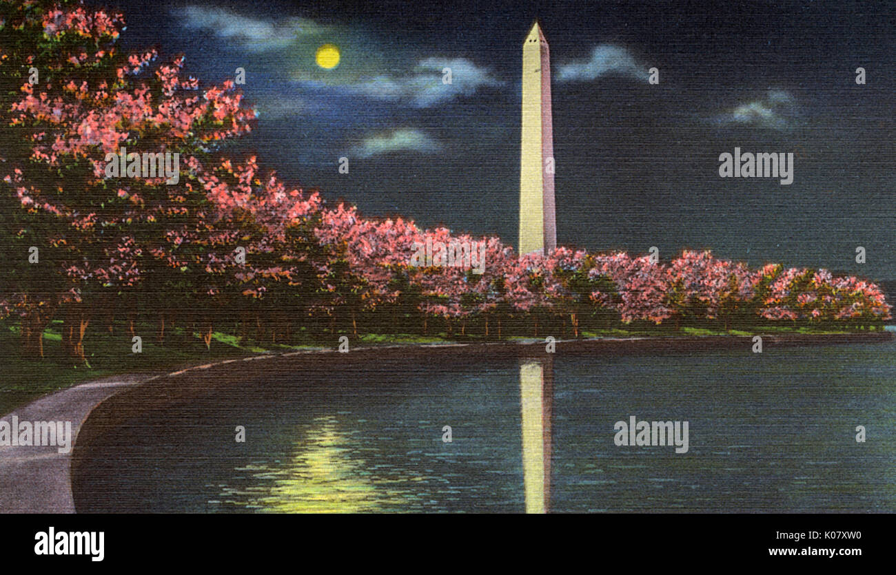 Washington DC, États-Unis - Washington Monument cerisier en fleur Banque D'Images