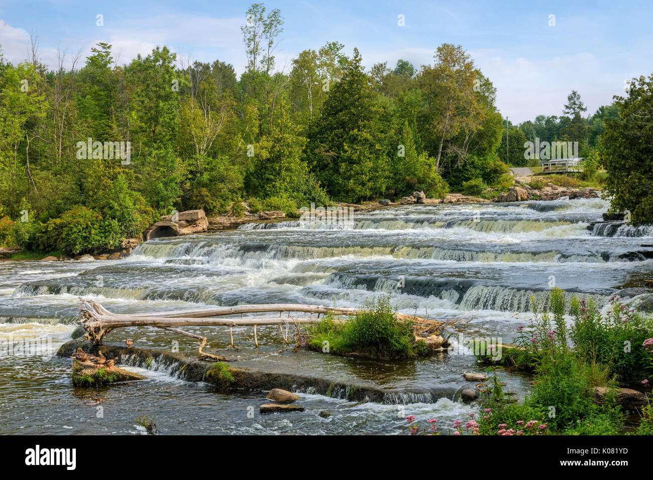 Sauble Falls, South Bruce Peninsula, Ontario, Canada Banque D'Images