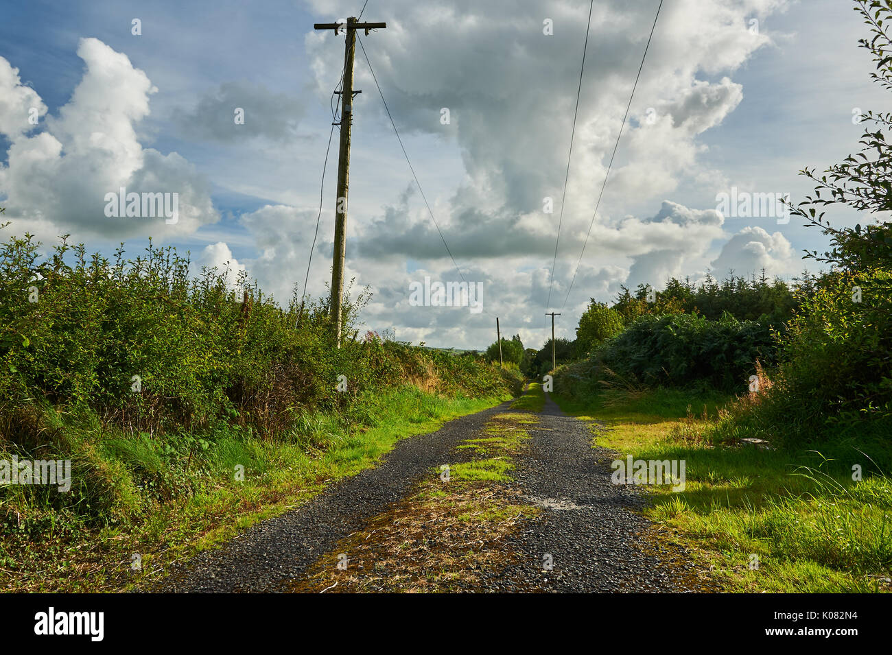 Un étroit chemin rural dans le comté de Kerry avec de l'herbe poussant le long du centre de la voie, avec des poteaux télégraphiques. Banque D'Images