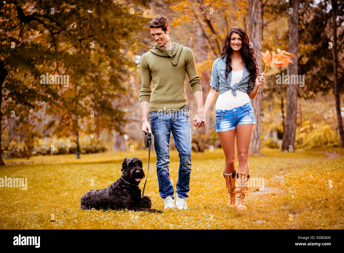 Belle quel beau couple avec un Schnauzer Géant Noir, à les apprécier et à marcher dans le parc en couleurs de l'automne. Banque D'Images