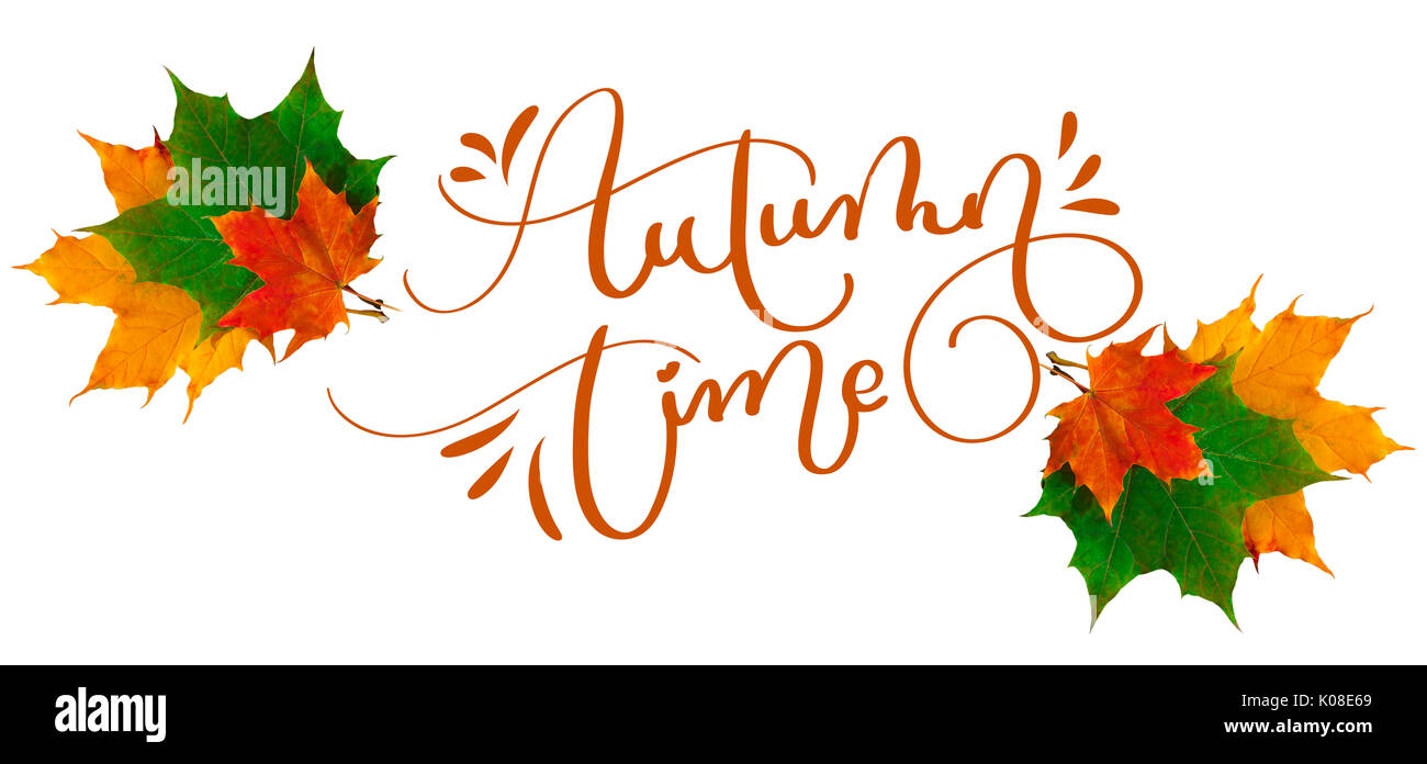 Temps d'automne texte lettrage calligraphie. jaune, rouge et vert les feuilles d'automne sculpté sur un fond blanc Banque D'Images