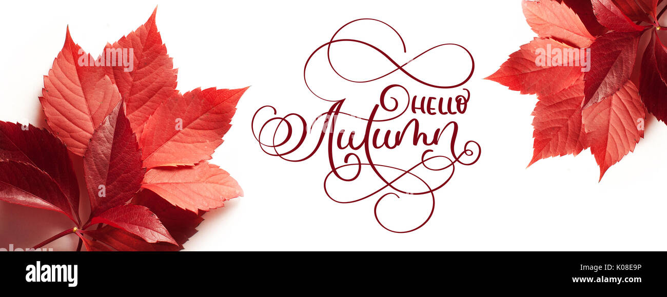 Texte lettrage calligraphie bonjour Automne. feuilles rouges sur fond blanc Banque D'Images