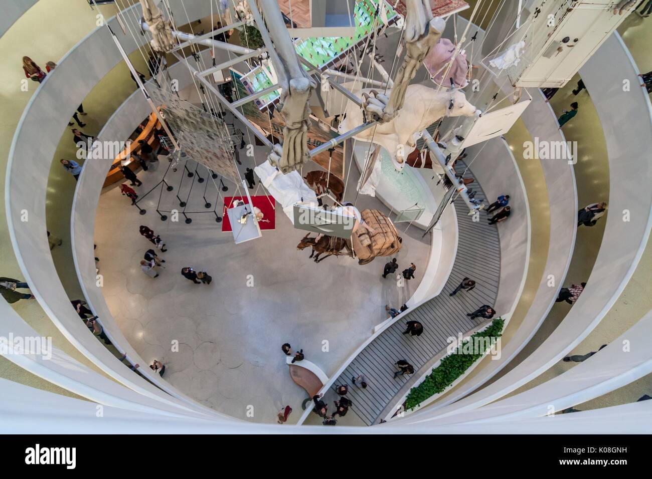USA, New York State, New York, Manhattan, Musée Solomon R. Guggenheim, l'installation de Maurizio Cattelan Banque D'Images