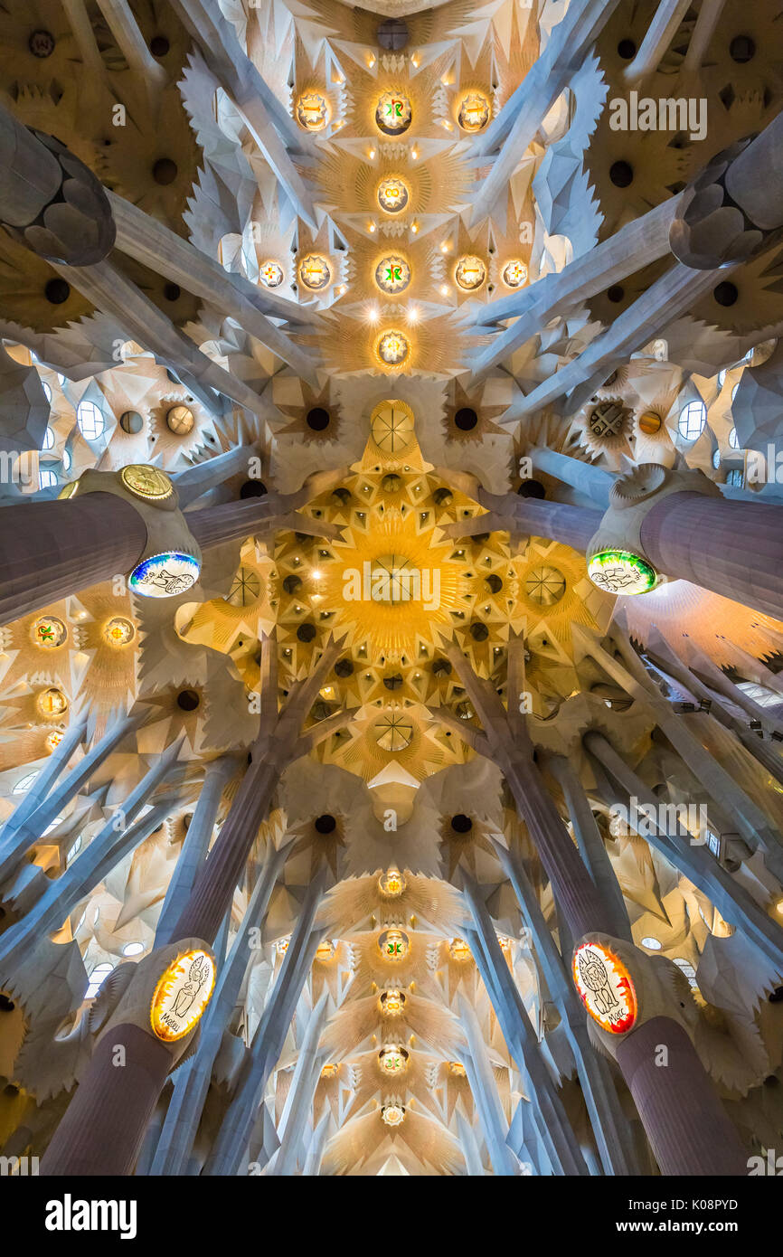 Espagne, Barcelone, Sagrada Familia, de l'intérieur Banque D'Images