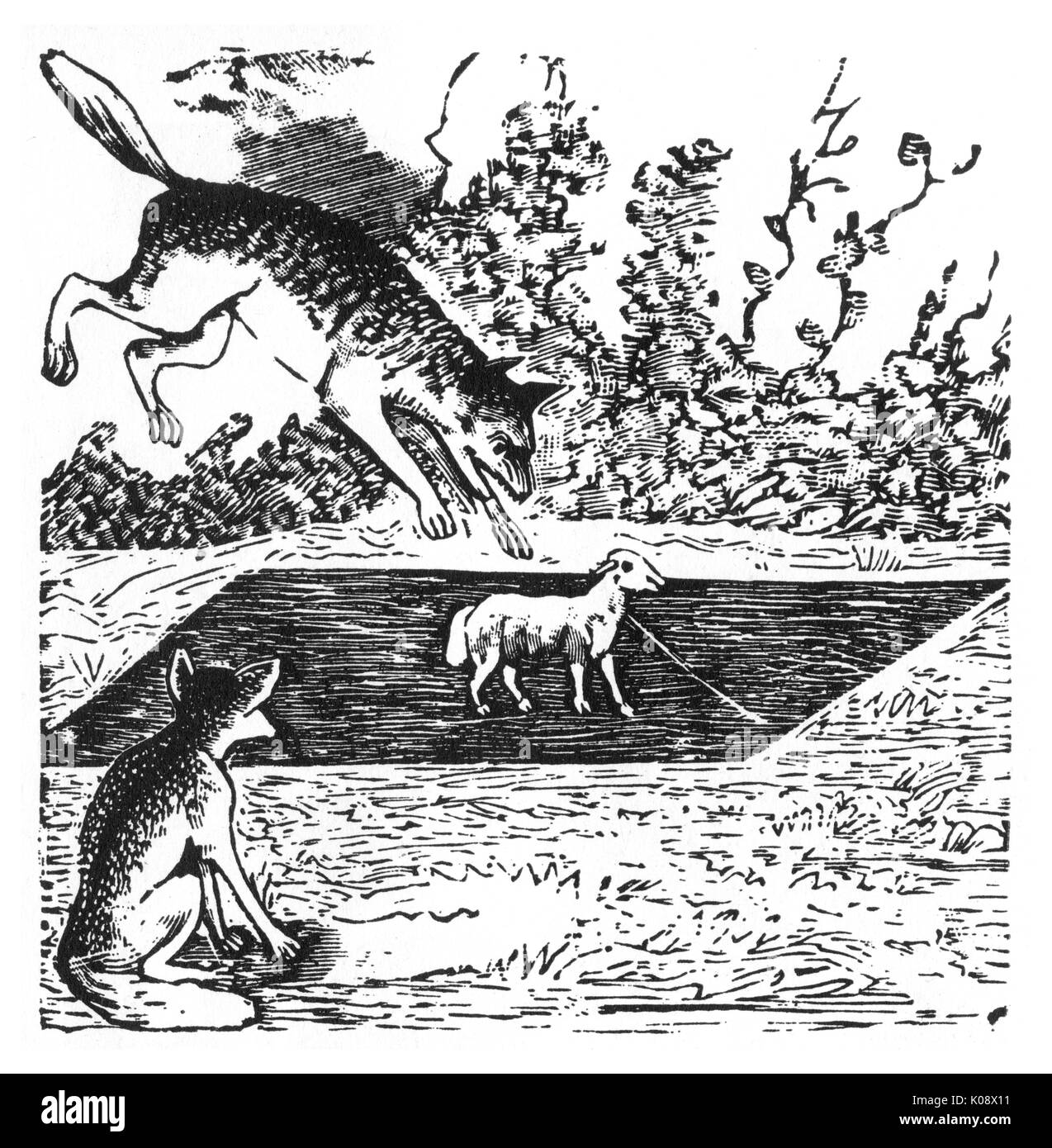 Posada, histoire du Loup et du Fox Banque D'Images