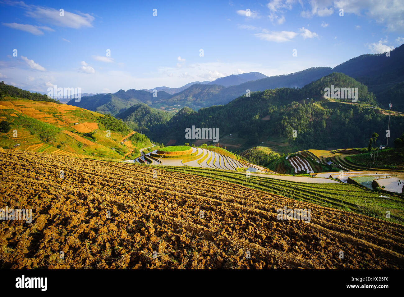 Champ de riz en terrasses avec des montagnes à Lao Cai, Vietnam. Lao Cai est une province montagneuse de la région du Nord-Ouest du Vietnam, le partage 203 km de frontière Banque D'Images