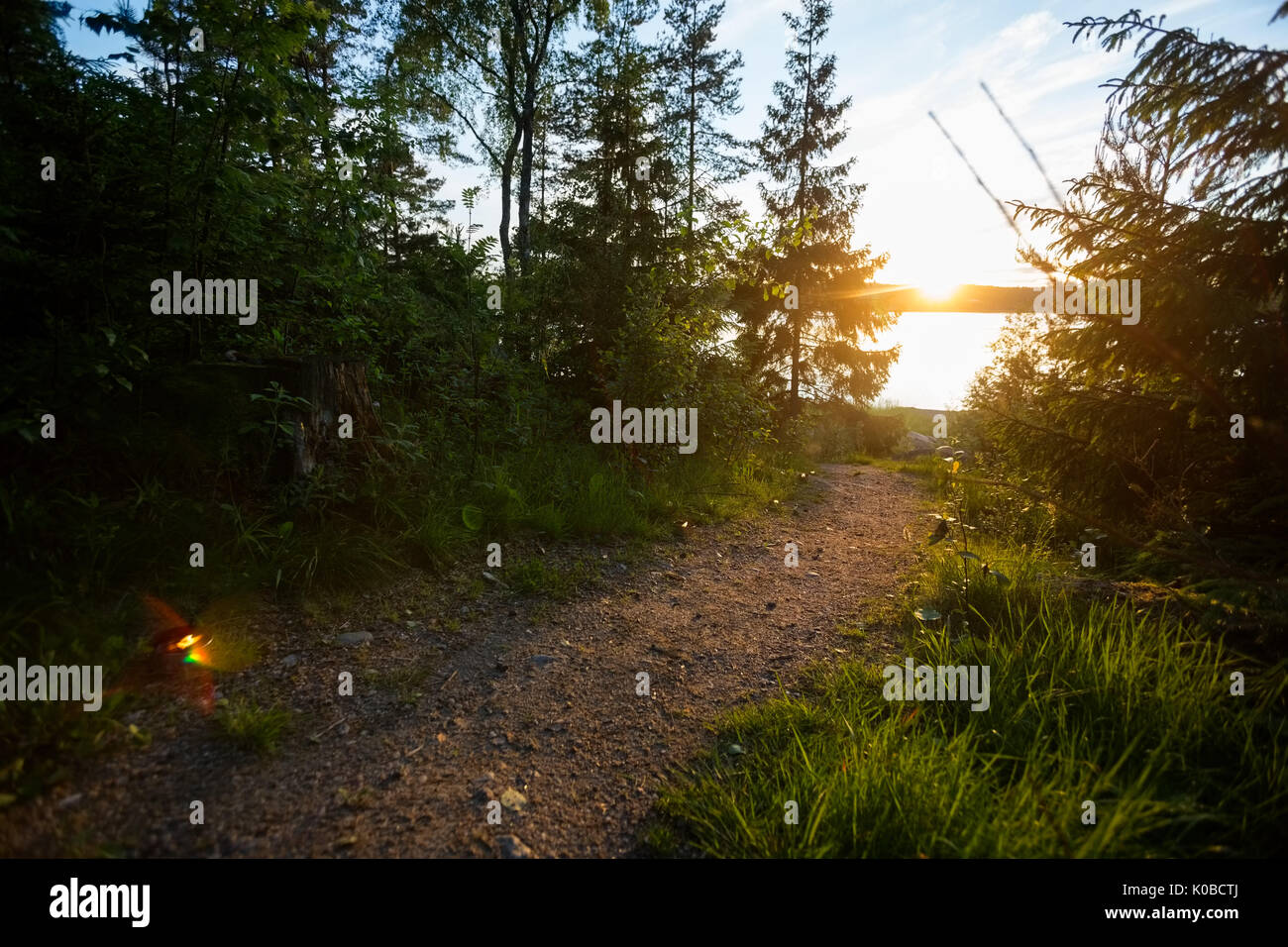 Sentier éclairé avec des bougies à réchaud en forêt Banque D'Images