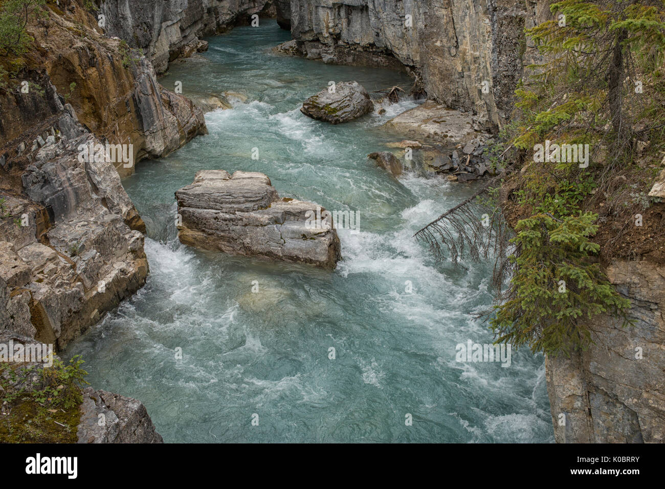 Le Canyon Marble Falls, parc national de Kootenay en Colombie-Britannique, Canada Banque D'Images