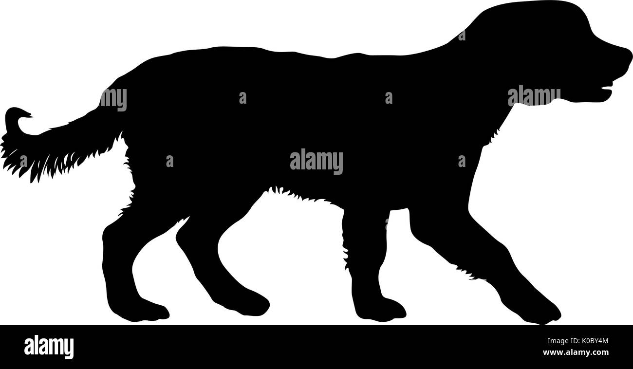 Spaniel chien silhouette sur un fond blanc Illustration de Vecteur