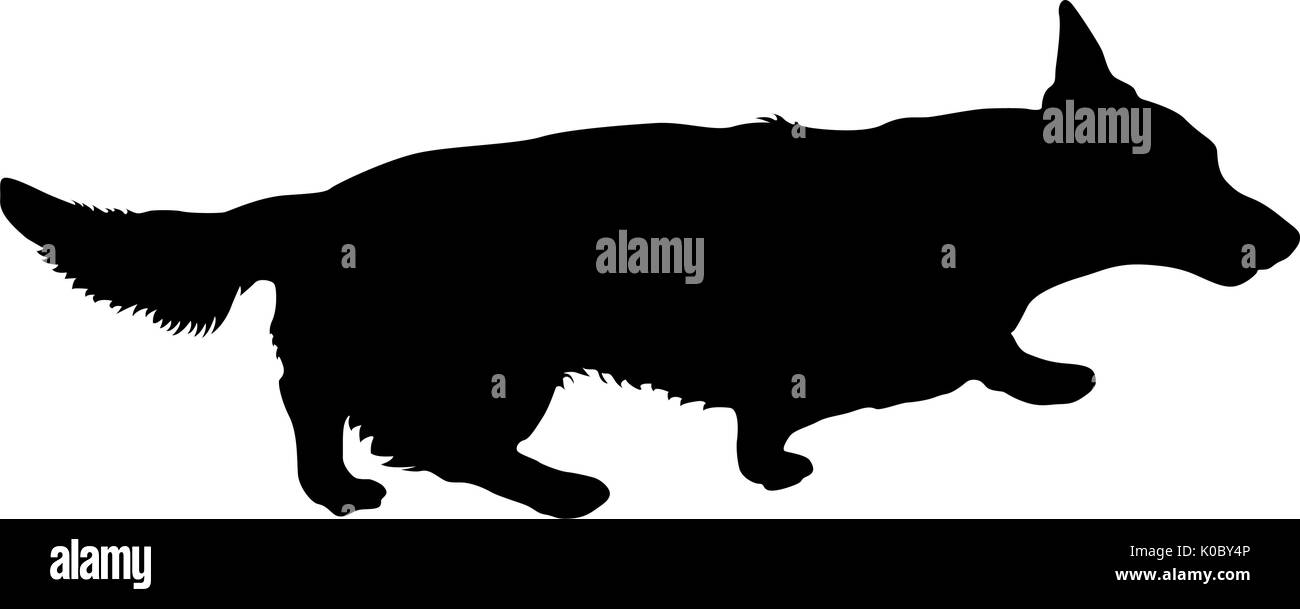 Welsh Corgi chien silhouette sur un fond blanc Illustration de Vecteur